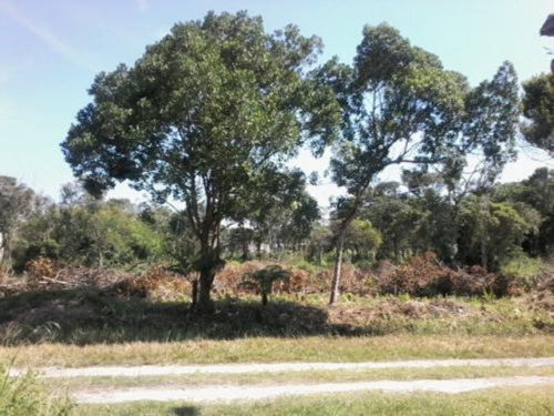 Imagem 3 de 3 de Lote No Jardim Luizamar Mirim Gaivota=referência: 5282