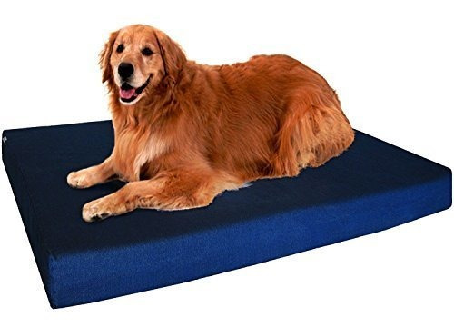 Cama Ortopédica Para Perros Con Memoria Y Funda Resistente.