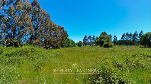 Parcela De 5.000 Mts Panguipulli Condominio Pangui...