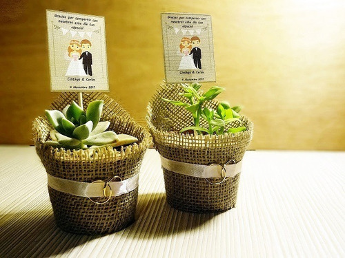 Recuerdos Cactus Encintados Plantas Para Matrimonios Regalos (Usado)