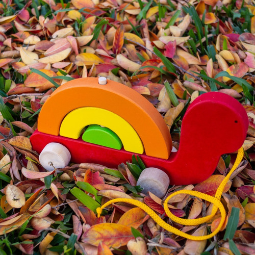 Tortuga De Arrastre En Madera Con Arco Iris Y Ensarte