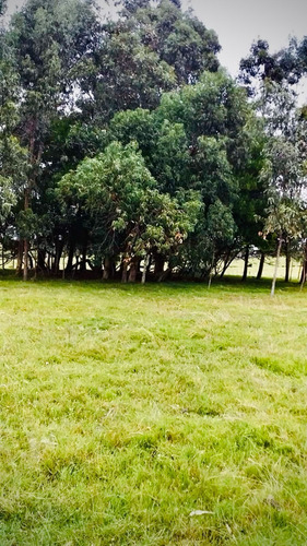 Excelente Chacra De 7h En José Ignacio