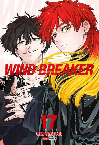 Wind Breaker 17, De Nii Satoru. Editorial Panini, Capa Mole, Edição 17 Em Português, 2025
