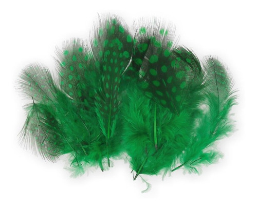 Material Atado Mosca Pluma Guinea Body Feathers
