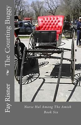 Libro The Courting Buggy: Nurse Hal Among The Amish - Ris...