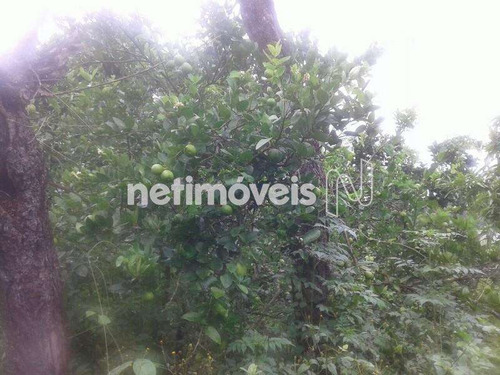 Imagem 19 de 29 de Venda Chácara Zona Rural Conceição Do Pará - 875793