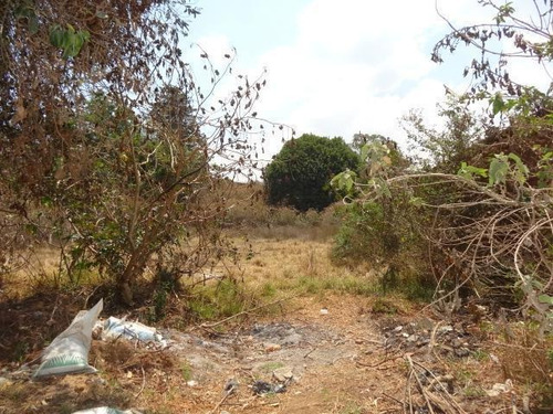 Imagen 3 de 5 de Terreno En Venta En Pátzcuaro En La Colonia Revolución