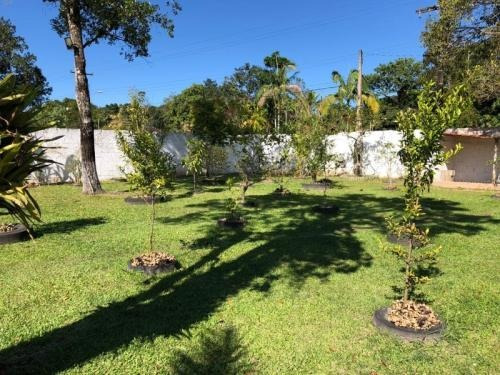 Chácara No Litoral Com Piscina E Churrasqueira Em Itanhaém