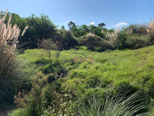 Imagen 2 de 3 de Oportunidad, Terreno En Balneario Buenos Aires