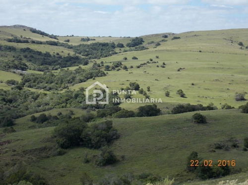 Imagen 30 de 30 de Venta Chacra 96has En Minas, Lavalleja
