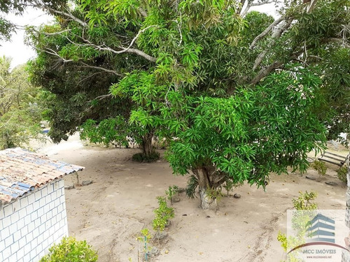 Granja A Venda Em Macaíba