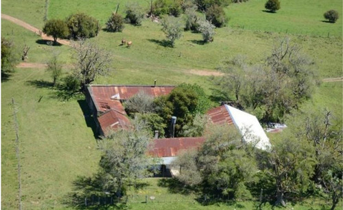 Imagen 2 de 13 de Terreno Campo En Venta Ubicado En El Tesoro, Punta Del Este