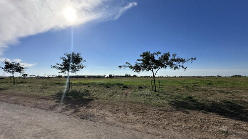 Lote A La Venta En Vida Lagoon - Lote 626