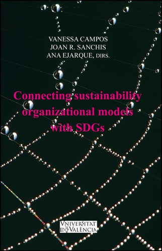 Connecting Sustainability Organizational Models With Sdgs, De Vários Autores. Editorial Publicacions De La Universitat De València, Tapa Blanda En Inglés