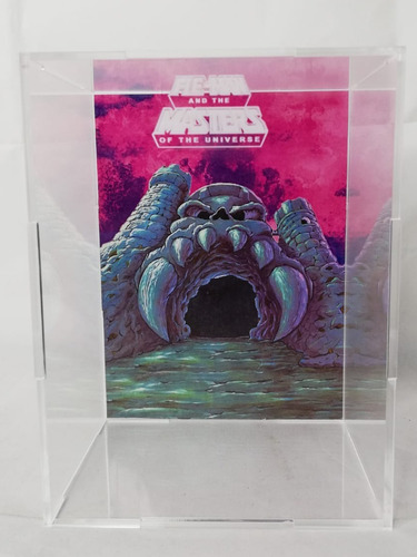 Case Especial Protector He-man Masters Of The Universe Motu 