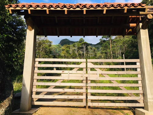Imagem 28 de 30 de Chácara À Venda Em Canelinha/sc - 1652c