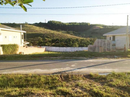 Imagem 4 de 8 de Terrenos - Ref: V9644
