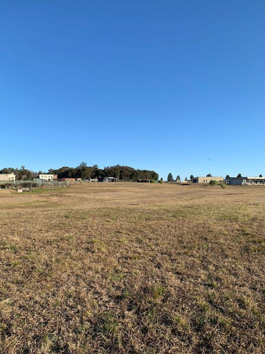 Imagen 10 de 13 de Hermoso Lote Central Con Fondo Libre Y Verde En El Area 12 - San Sebastián
