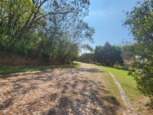 Venta De Lote San Diego 8 Sobre Boulevard Muy Cerca De Las Amenidades Y Del Hotel Del Fracc Rancho San Diego Ixtapan De La Sal Edomex. Se Incluye Proyecto
