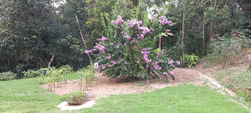 Imagem 5 de 14 de Maravilhoso Sítio Em Meio A Natureza De Biritiba Mirim!!!