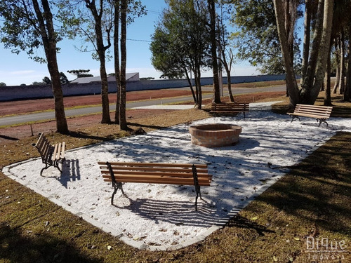 Imagem 8 de 11 de Lote Residencial - São José Dos Pinhais - Te0139 - Te0139 - 32933966