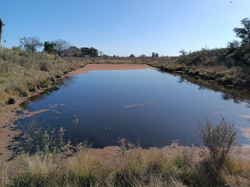 Vendo Muy Lindo Campo Con 2 Tajamares Para Riego, Alambrado, Pozos, Cañada, Monte, Financio Consulte