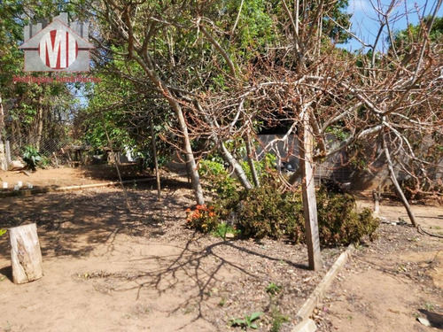 Chácara Com 03 Dormitórios, Pomar Formado, Excelente Localização À Venda, 1100 M² Por R$ 310.000 - Zona Rural - Pinhalzinho/sp - Ch0530
