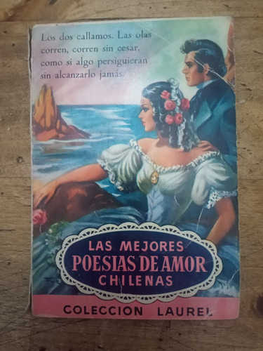 Libro Las Mejores Poesías De Amor Chilenas (96)