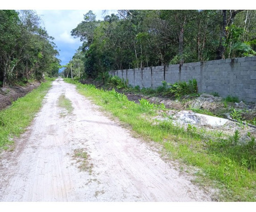 Imagem 6 de 13 de Chácara Com 2 Mil Metros E Escritura Em Itanhaém Litoral Sp