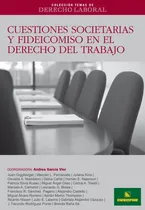Comprar Ctdl N° 5: Cuestiones Societarias Y Fideicomiso En El Derecho De Trabajo, De Andrea García Vior. Colección Temas De Derecho Laboral, Vol. 1. Editorial Errepar, Tapa Blanda En Español, 2009