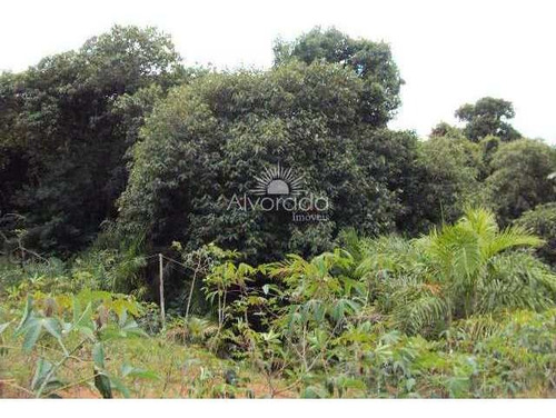 Imagem 20 de 24 de Sítio Com Lago, Ponte Alta, Jarinu - R$ 800 Mil, Cod: St012 - Vst012