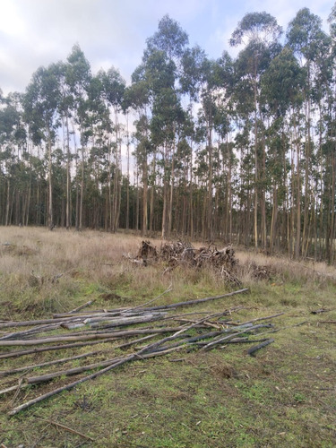 Terreno Con Casa