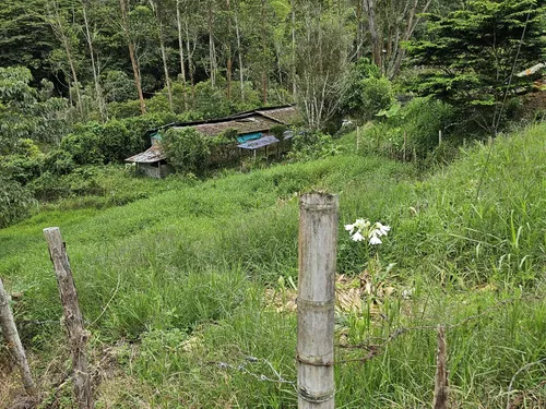 ¡tu Lote En El Campo Te Espera!