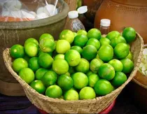 Comprar 50 Semillas Limón Persa Sin Espina + 50 Semillas Limón Mexic