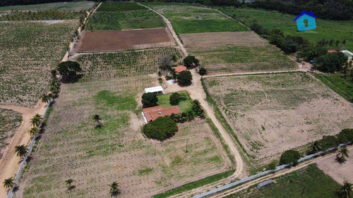 Imagem 15 de 30 de Granja Com 13 Hectares E Plantação Rentabilizando - Ch0065