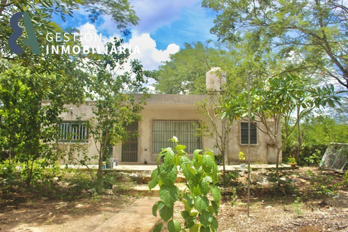 Imagen 4 de 10 de Terreno En Venta Sitpach,yuc. Ctv267
