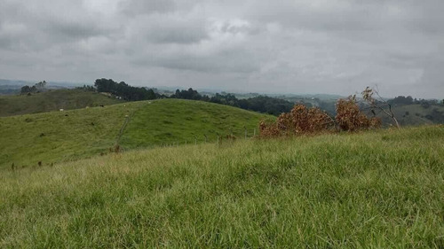 Imagem 3 de 10 de G19 -terrenos Em Santa Isabel ! Com Preço Que Cabe No Seu Bolso !!