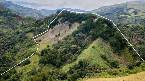 12 Hectareas De Tierra Con Casa En Los Medios El Retiro Antioquia.