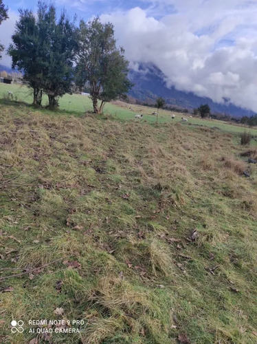 Parcela En Venta | 5.000 M² | Riñinahue - Lago Ranco