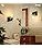 Apliques Pared Baño Mod. Tocador, Negro Mate, Pantalla Vidri
