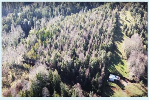 Parcela 15 Has A 1 Km Ruta 5, Lipingue, Los Lagos, Valdivia