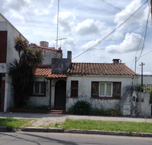 Imagen 3 de 11 de Terreno 8.60 X 43. Ituzaingo Centro