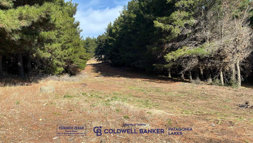 Venta Lote/terreno 275,70m2 - Dina Huapi Rio Negro- Bariloche