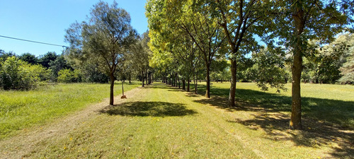 Venta De Lote De 2 Hectareas En Abasto, La Plata