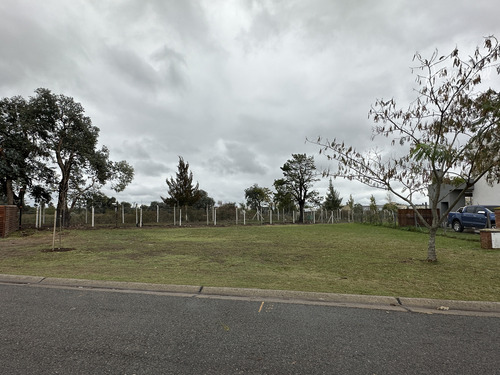 Lote Perimetral #100-200 - Pilar Del Este - San Alfonso - 491m2 #id 13961