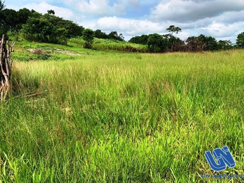 Imagem 5 de 12 de Fazenda Com 83 Tarefas Em Catu - Bahia - Afd069 - 70759118