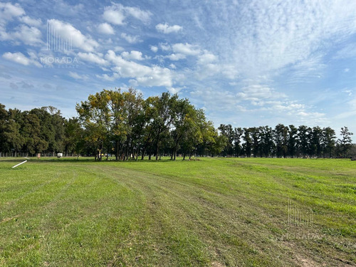 Venta Terreno En Almahue Pilar La Lonja