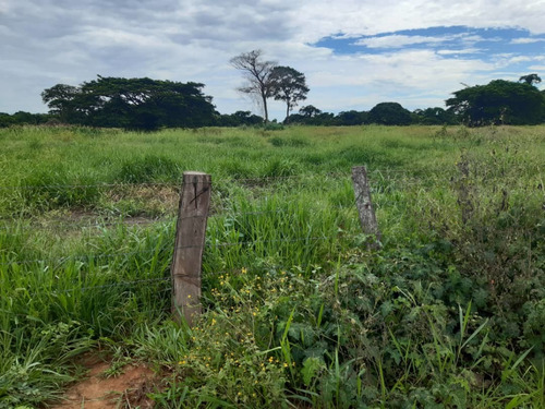 Imagen 13 de 19 de Finca Totalmente Equipada En Cojedes