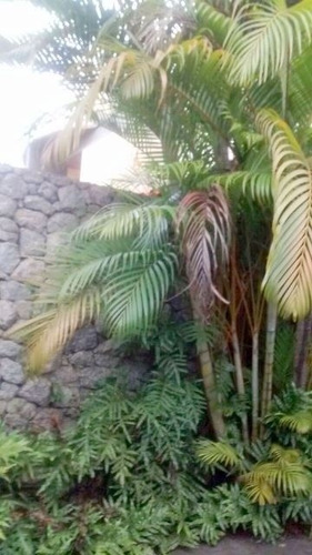 Imagem 10 de 15 de Sobrado - Trujilo - 7559