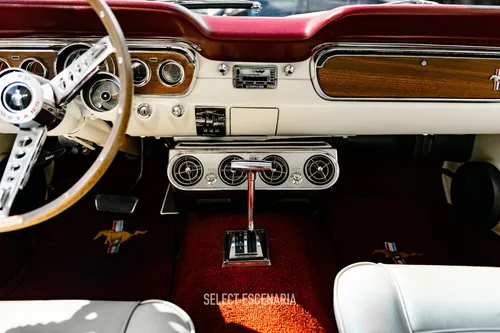 1965 Ford Mustang Gt Fastback